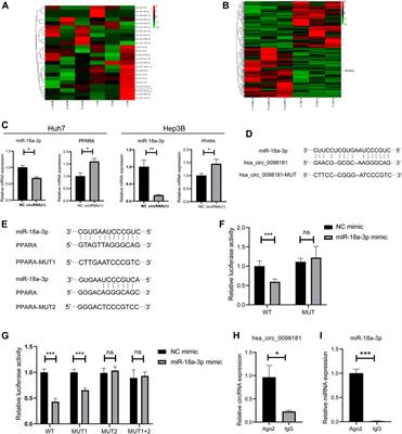 Hsa_Circ_0098181 Suppresses Hepatocellular Carcinoma by Sponging miR-18a-3p and Targeting PPARA